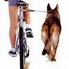 Camon walky dog fietsbeugel (60X3X3 CM)