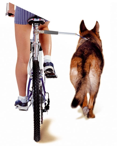 Camon walky dog fietsbeugel (60X3X3 CM)