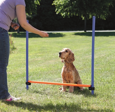 Trixie dog activity agility horde blauw / oranje (123X115X3 CM)