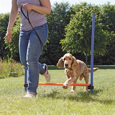 Trixie dog activity agility horde blauw / oranje (123X115X3 CM)