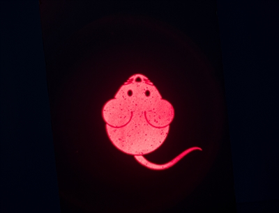 Trixie laserspeelgoed catch the light muis usb oplaadbaar (8,5 CM)