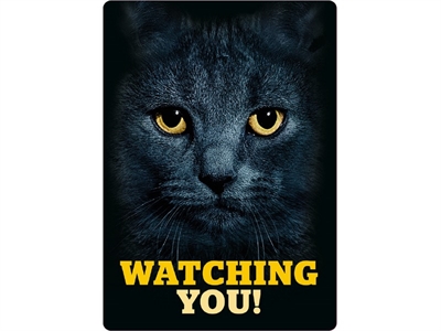 Plenty gifts waakbord blik zwarte kat watching you (21X15 CM)