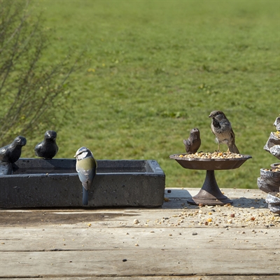 Best for birds vogelbad terrazzo granito grijs (31,5X31,5X12,5 CM)